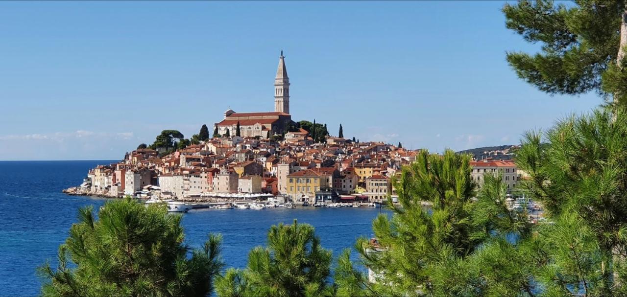 B&B Palace Basilico 1580. Rovinj Dış mekan fotoğraf