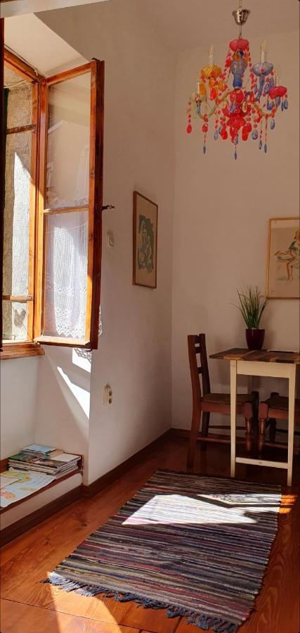 B&B Palace Basilico 1580. Rovinj Dış mekan fotoğraf